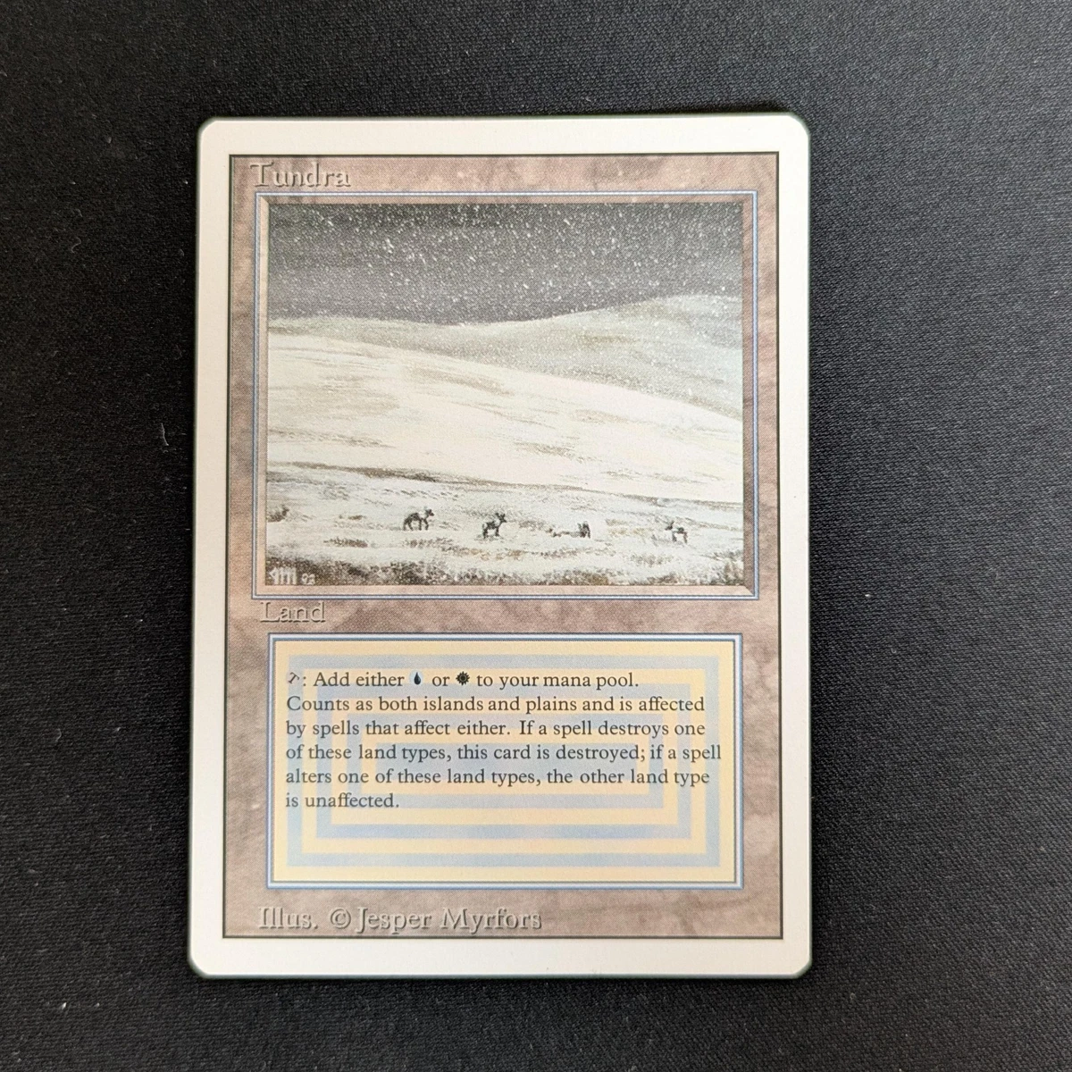 Tundra in Einzelne Magic: The Gathering-Cards online kaufen | eBay.de
