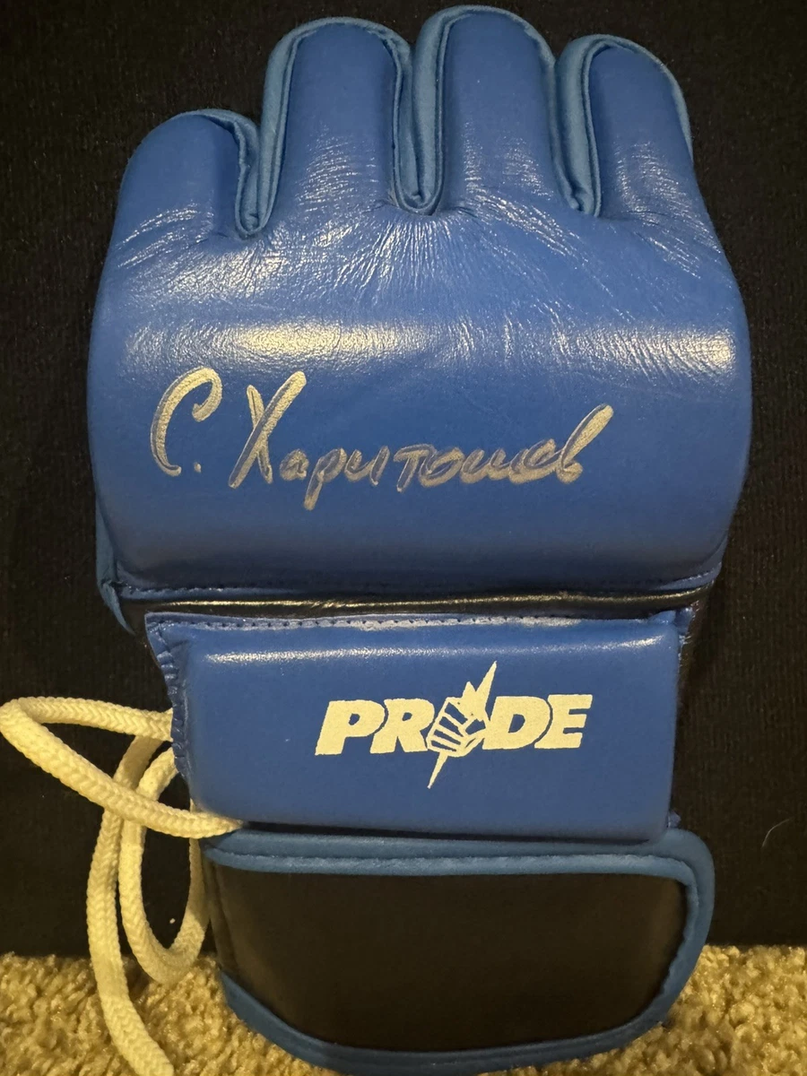 PRIDE オフィシャルグローブ L Pride Style MMA Gloves (X-Large