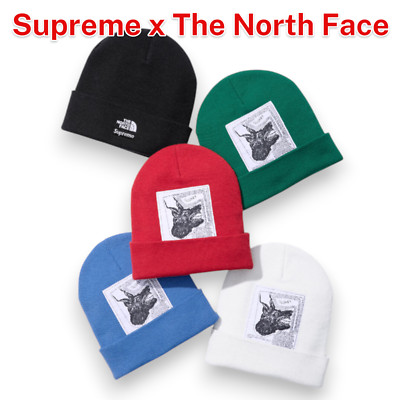 Supreme The North Face Beanie Knitted hat Green Black Blue Red