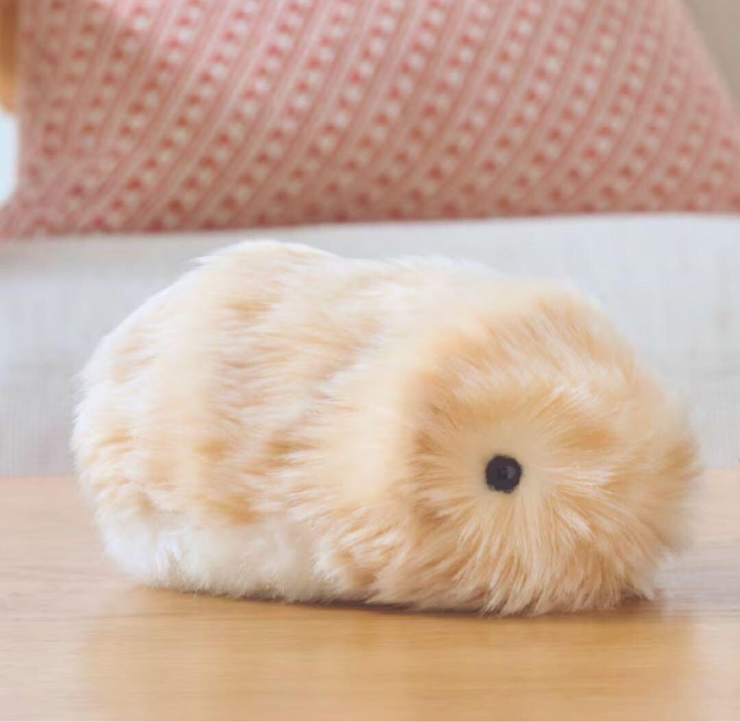 新品、未開封、CASIO モフリン(ゴールド) 新品、未開封CASIOモフリン