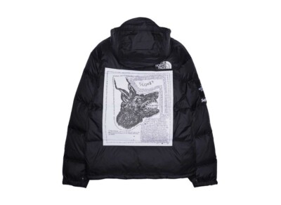 Supreme x The North Face Nuptse Jacket Black Red Green 2colors