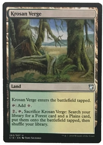 MTG SLD 森 476 Magali先生サインド MTG Secret Lair Forest (476