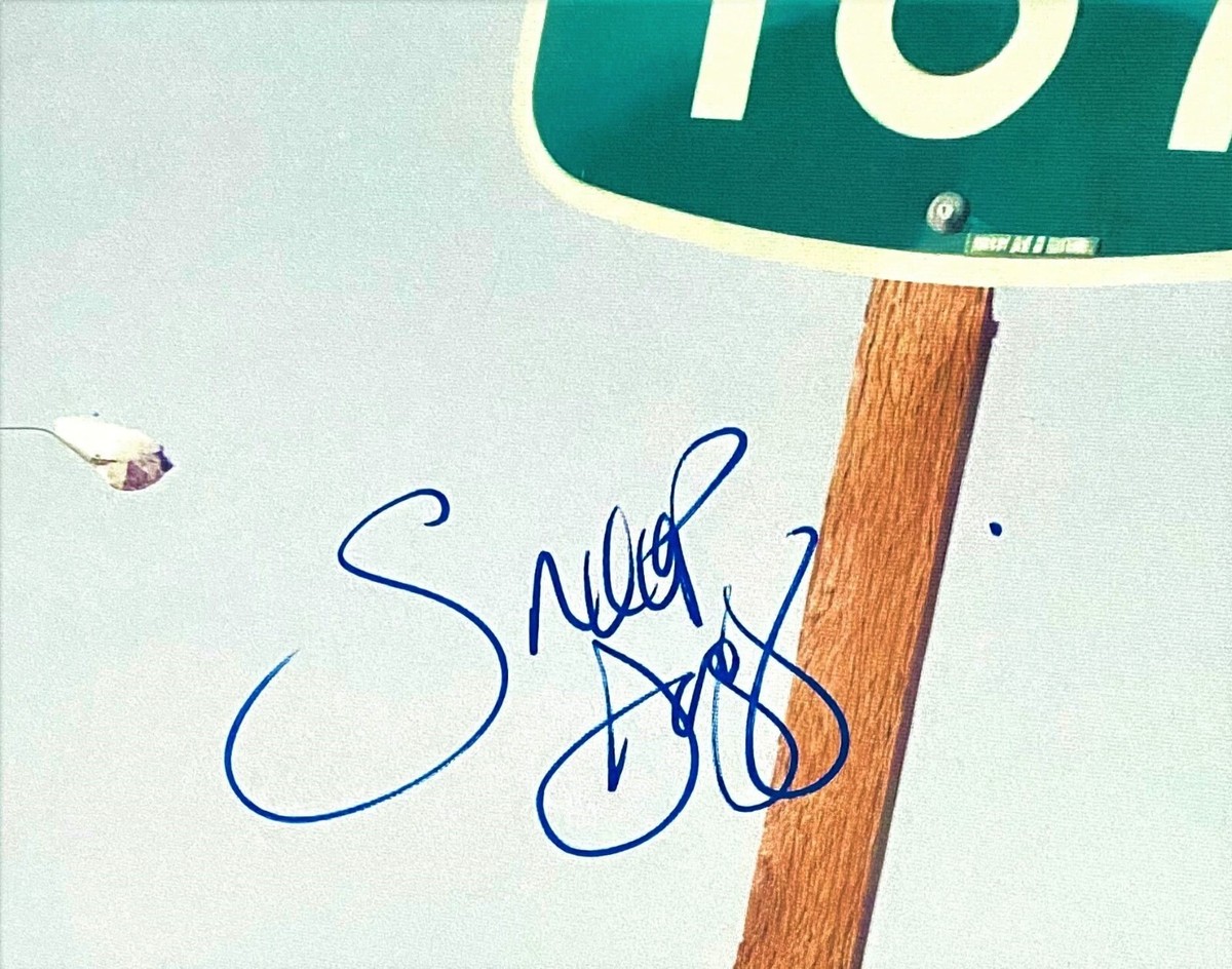 SNOOP DOGG SIGNED 24X36 WOOD FRAMED CANVAS JSA COA 187 DEATH ROW