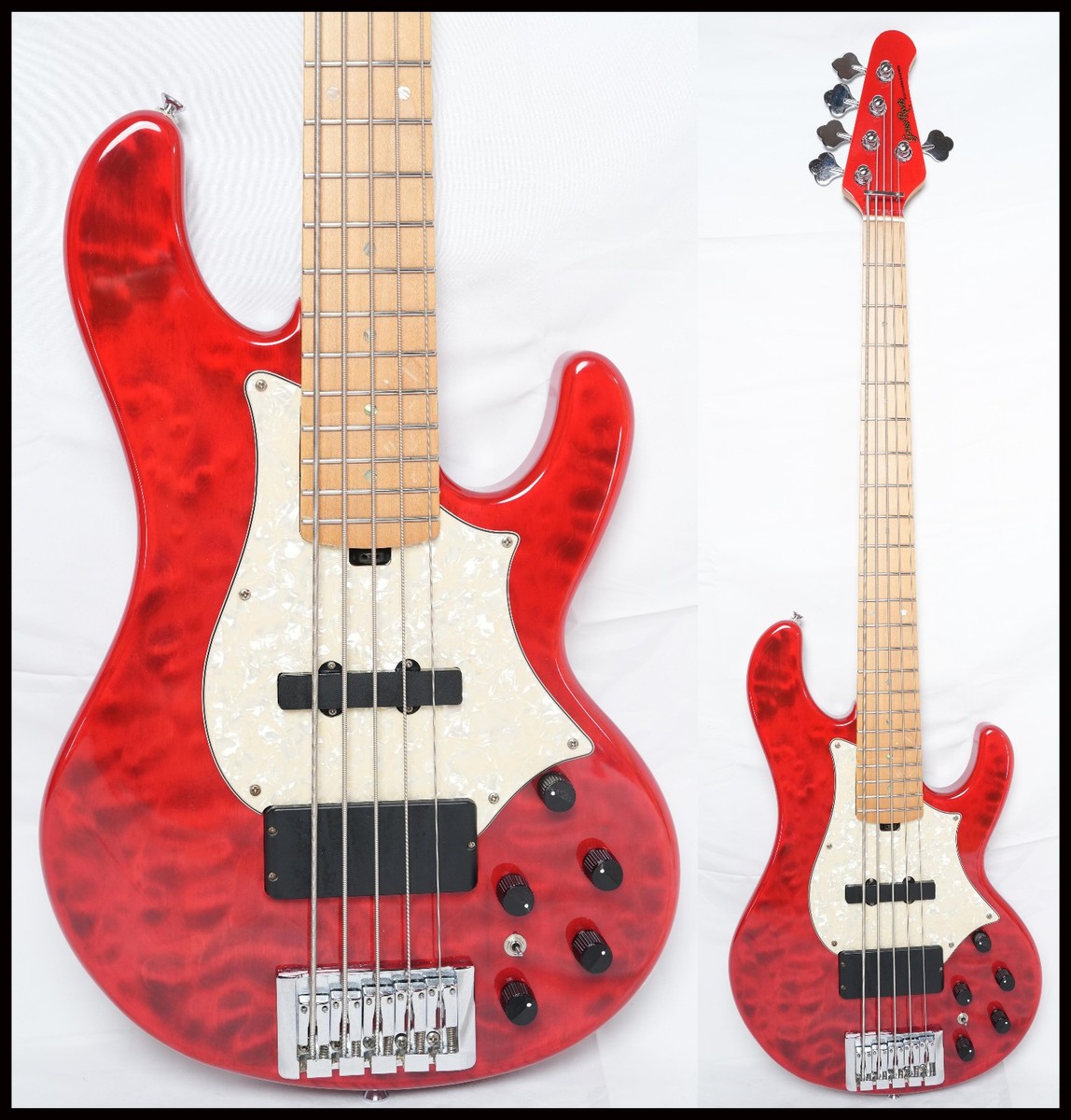 Grass Roots by ESP G-T-80-BD 5-string bass guitar, L'Arc~en~Ciel