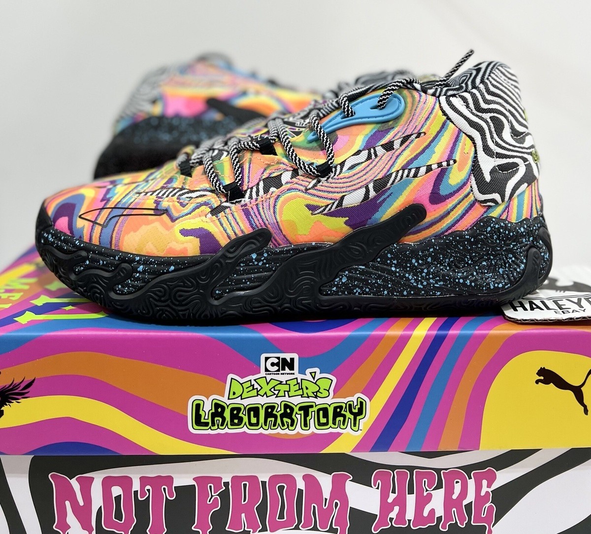 Dexter's Laboratory × Puma MB03