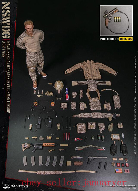 Damtoys 1/6 78065 Navy Seal/ Naval Special Warfare Group Aor1 Ver