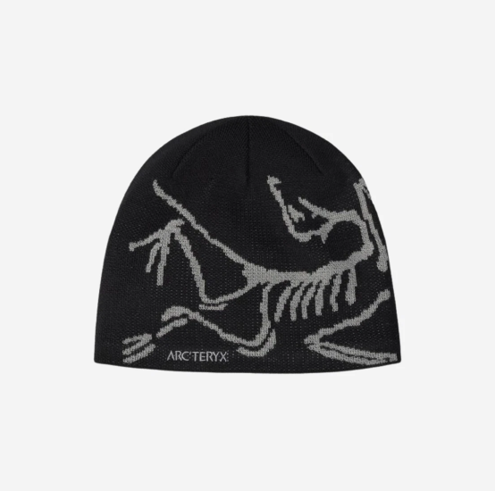 Arc'teryx Bird Head Toque Black Void, (100% Authentic) | eBay
