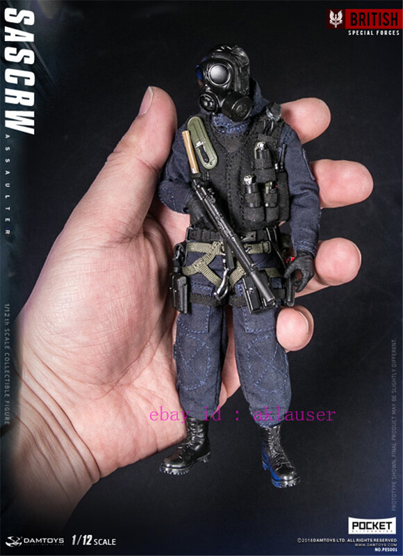 Damtoys 1/12 Pes001 Pocket Elite Series Sas Crw Assaulter Action