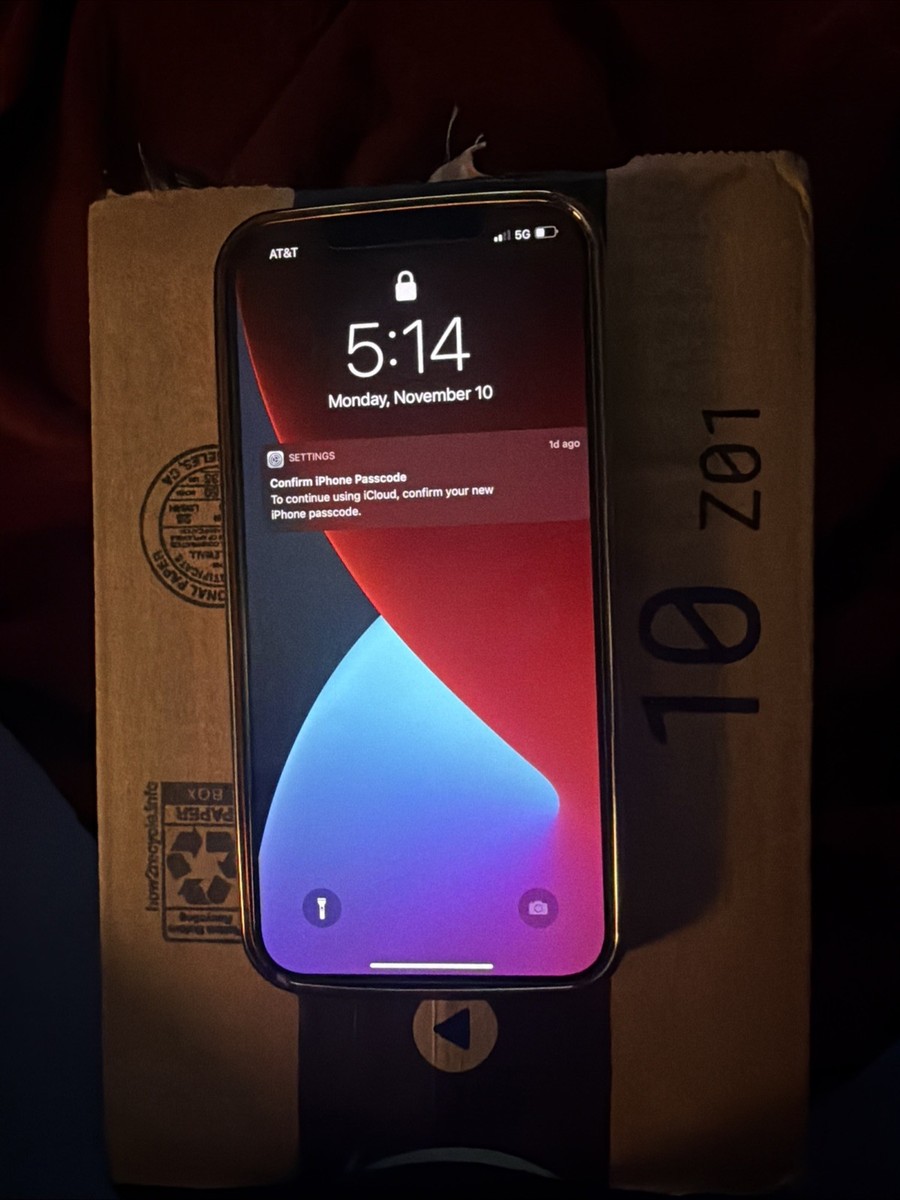 Apple iPhone 12 Pro Max - 256 GB - Silver (Unlocked) for sale