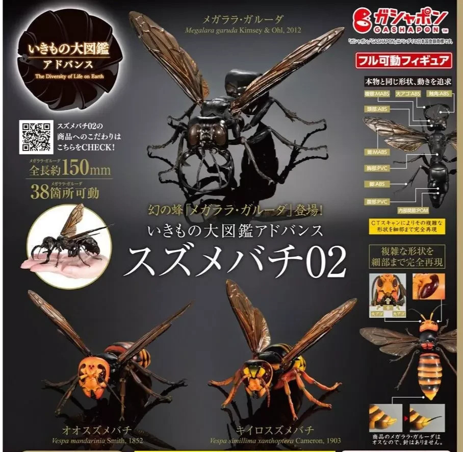 The Diversity of Life on Earth Advance Wasp Hornet 02 Figure