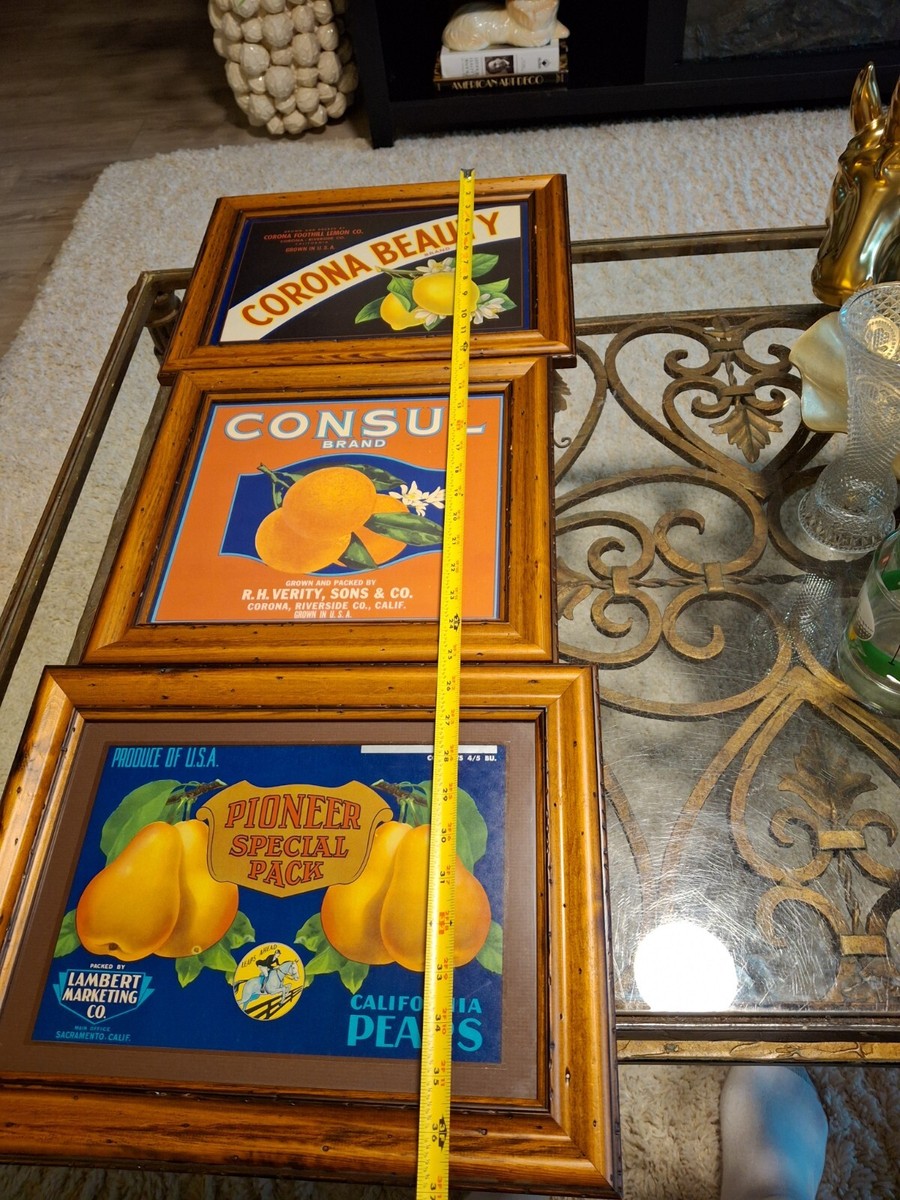 Vintage Set Of 3 Framed Fruit Crate Labels Oranges Pears Lemons