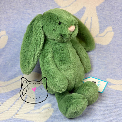 AUTHENTIC Jellycat BASHFUL IVY BUNNY Little RETIRED 2024 New BNWT