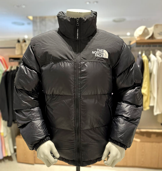 The North Face Men's Nuptse Onball Jacket NJ3NP55A | eBay