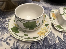 Discontinued Villeroy & Boch Geranium Dinnerware