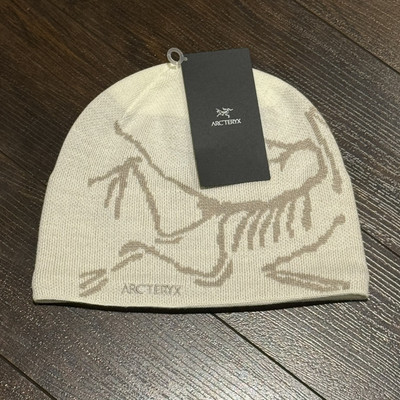 NWT! Arcteryx Bird Head Toque Beanie Arctic Silk/Rune Brand New