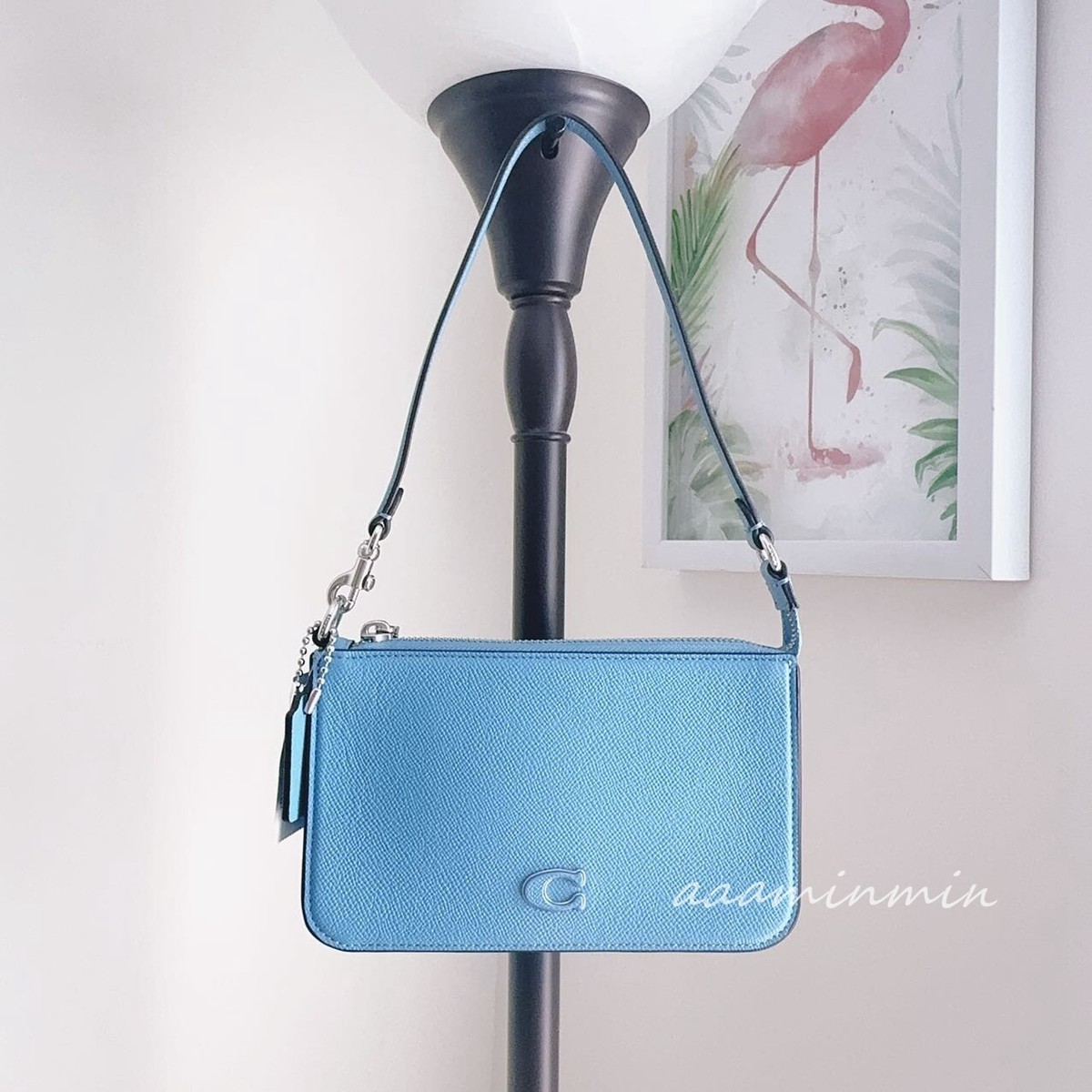 NWT Coach Pouch Bag With Signature Canvas CJ797 | eBay