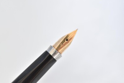 Parker 75 Sterling Silver Color Fountain Pen 14K Nib XF 585