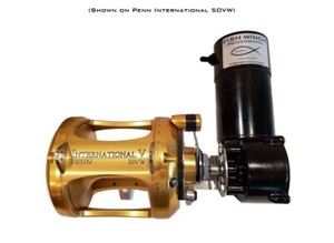 Penn International 50 SW | eBay