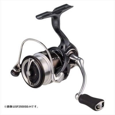 Daiwa 24 Luvias SF2000SS-P | eBay