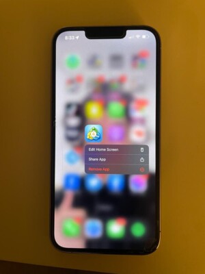 Apple iPhone 13 Pro - 256GB silver UNLOCKED with metatrader 4 | eBay