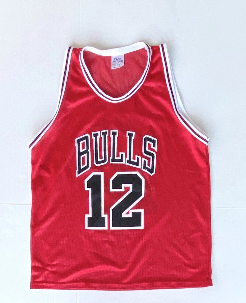 Kirk Hinrich Jersey In Nba Fan Apparel & Souvenirs for sale | eBay