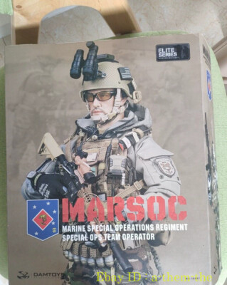 DAMTOYS DAM 78007 1/6 US Special Forces MARSOC Action Figure Stock