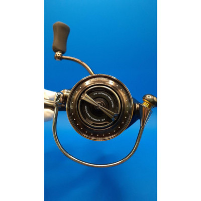 DAIWA Spinning Reel STEEZ TYPE-II HI-SPEED 0005632 | eBay