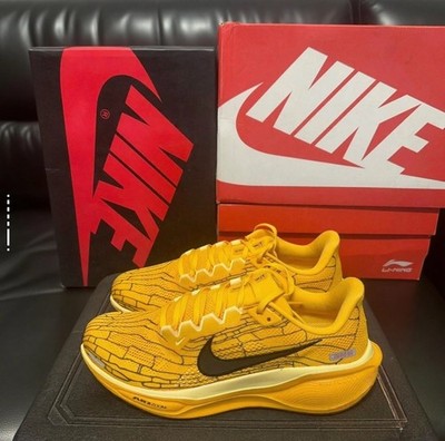 Nike Air Zoom Pegasus 41 LV8 Modern Mayfly Pack Multi Mens Sizes