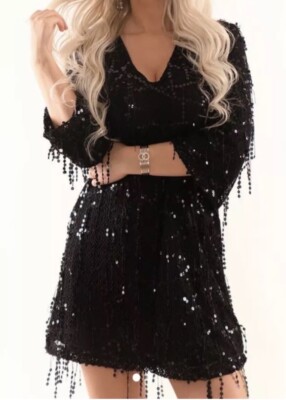 ZARA NWT Embroidered Sequin Beaded Tassel Fringe Dress 0387 168