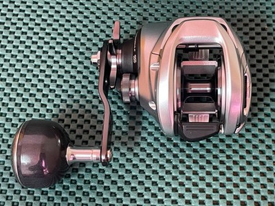 NEW SHIMANO TRANX 301 HG B Left Handle Baitcasting Reel 7.6:1