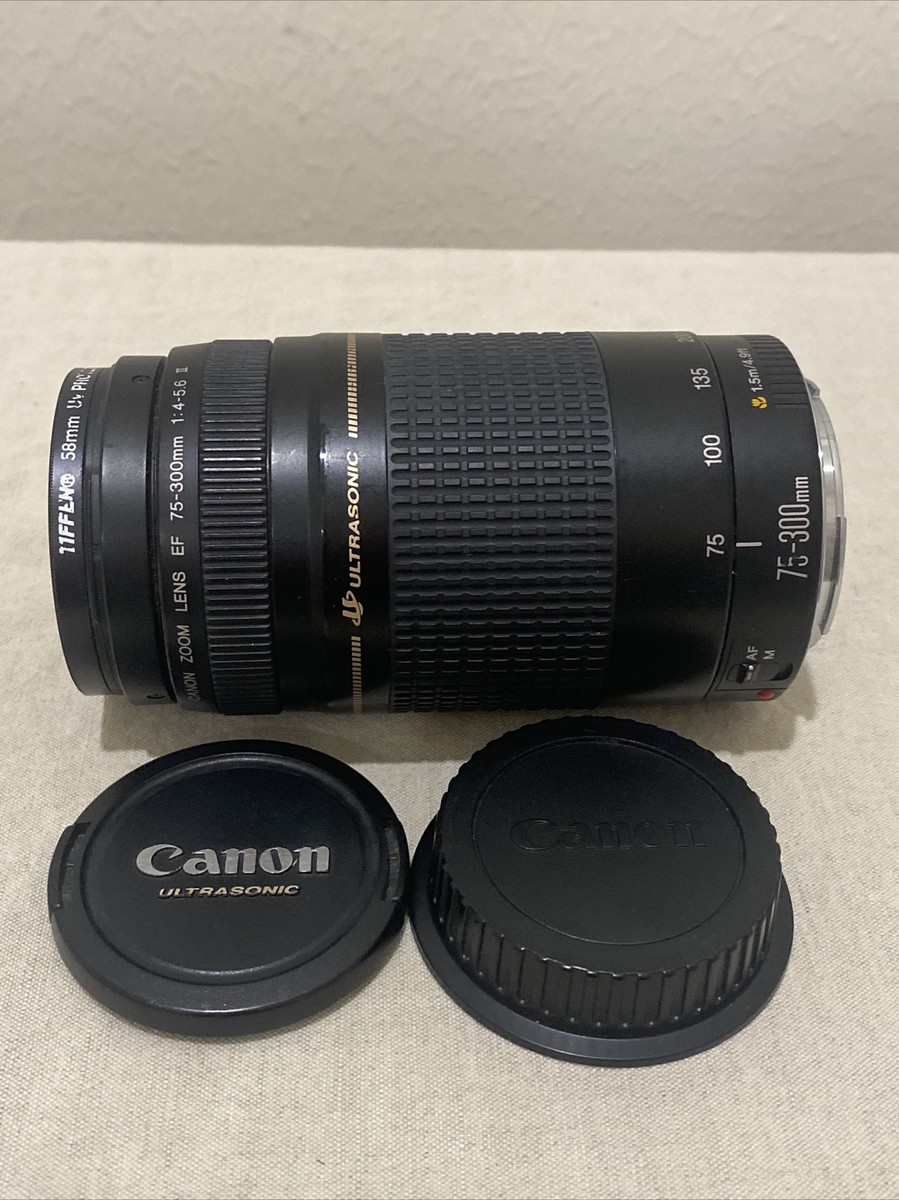 Canon EF 75-300 mm 1:4-5.6 II Ultrasonic Zoom Lens | eBay