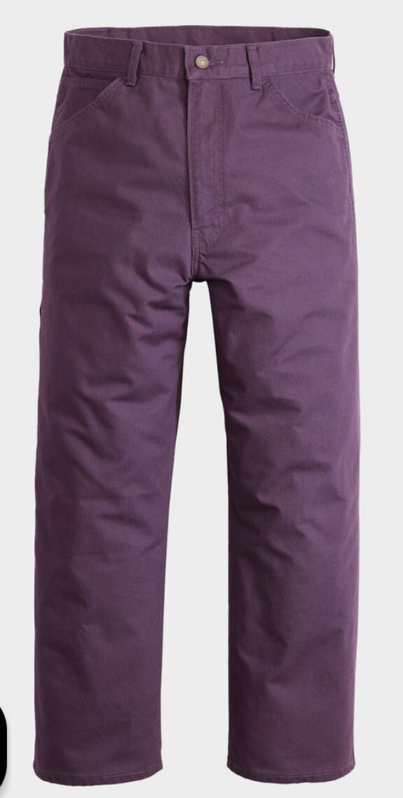 Earl skateboards デニム パープル 紫 xs EARL skateboards デニム