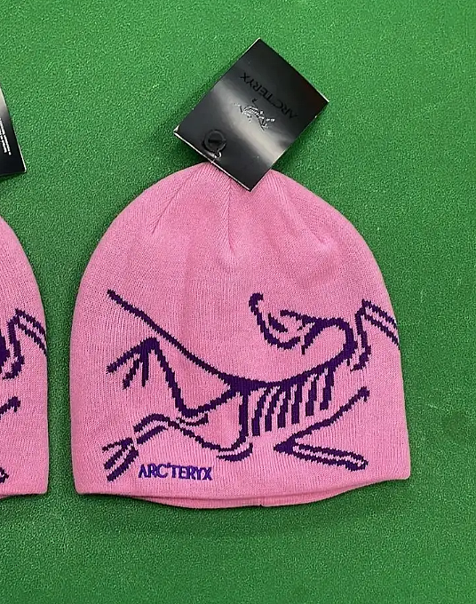 Arc'teryx Bird Head Toque Beanie Pink Merino Wool Winter Hat – NWT