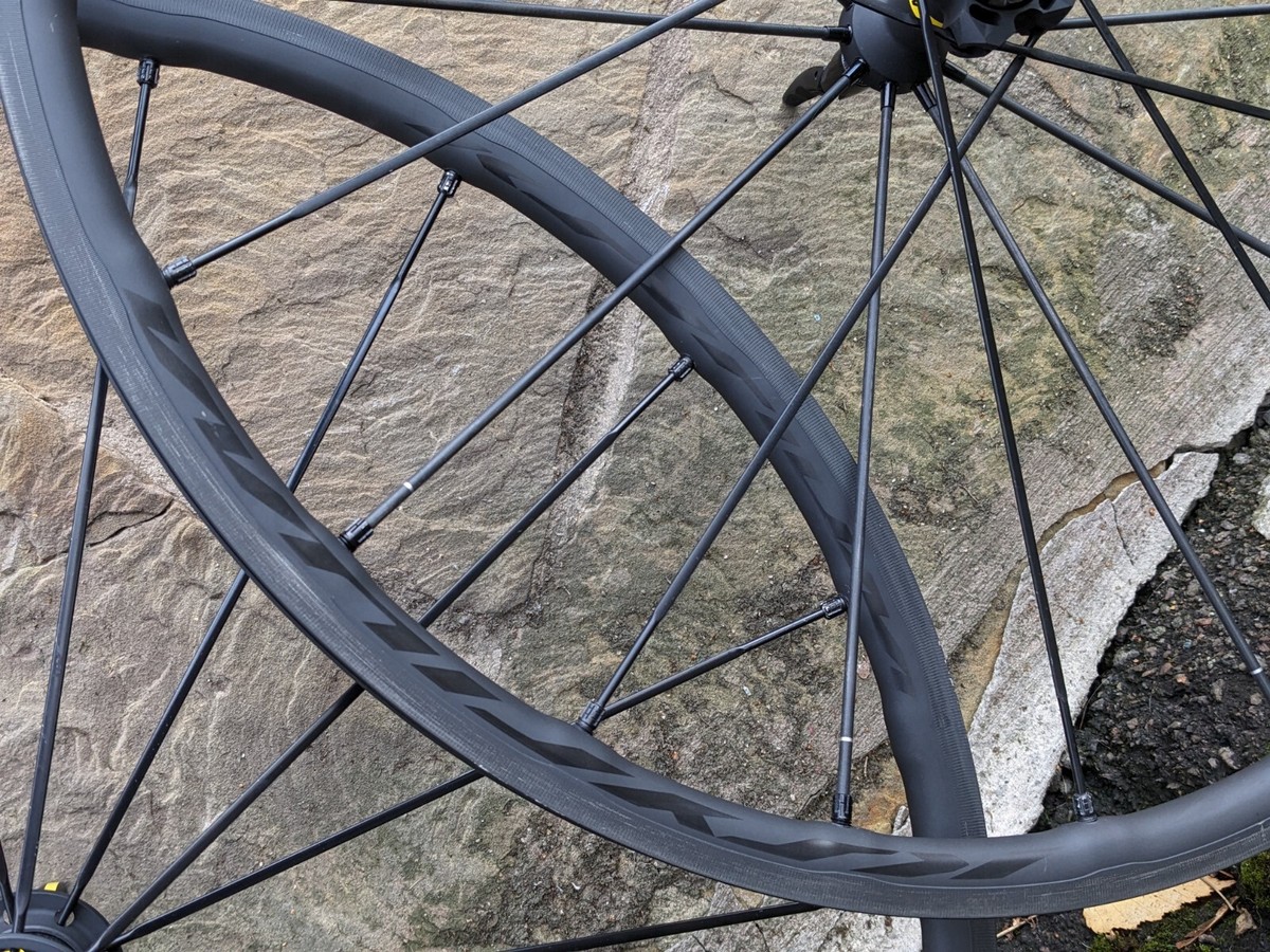 CAMPAGNOLO RECORD 前後ハブ スモールフランジ 36H BSC 【公式通販】