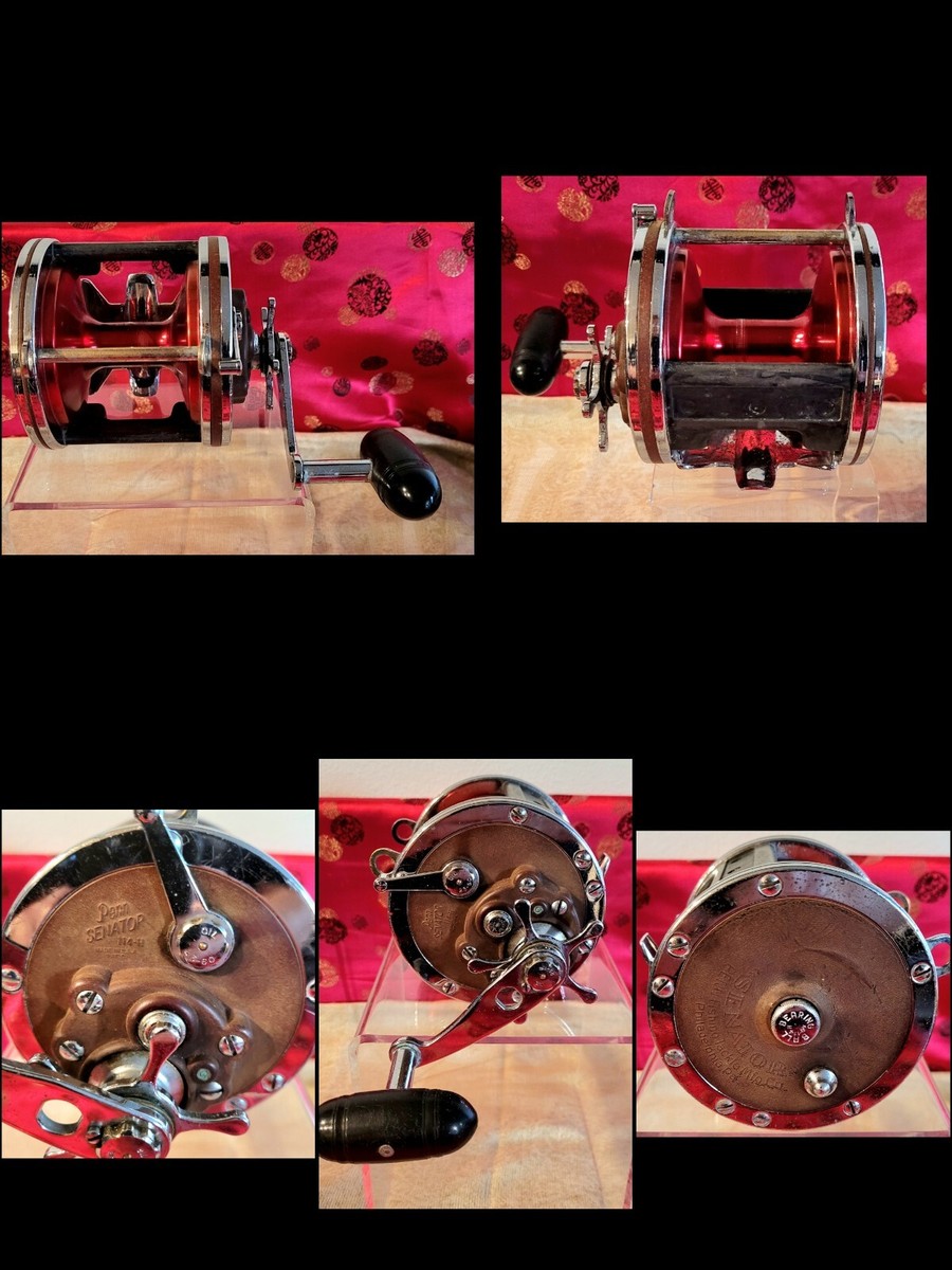 PENN Special 6/0 SENATOR 114h FISHING REEL | eBay