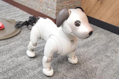 SONY Aibo ERS-1000 Main Unit Dog Shaped Virtual Pet Robot JAPAN JP