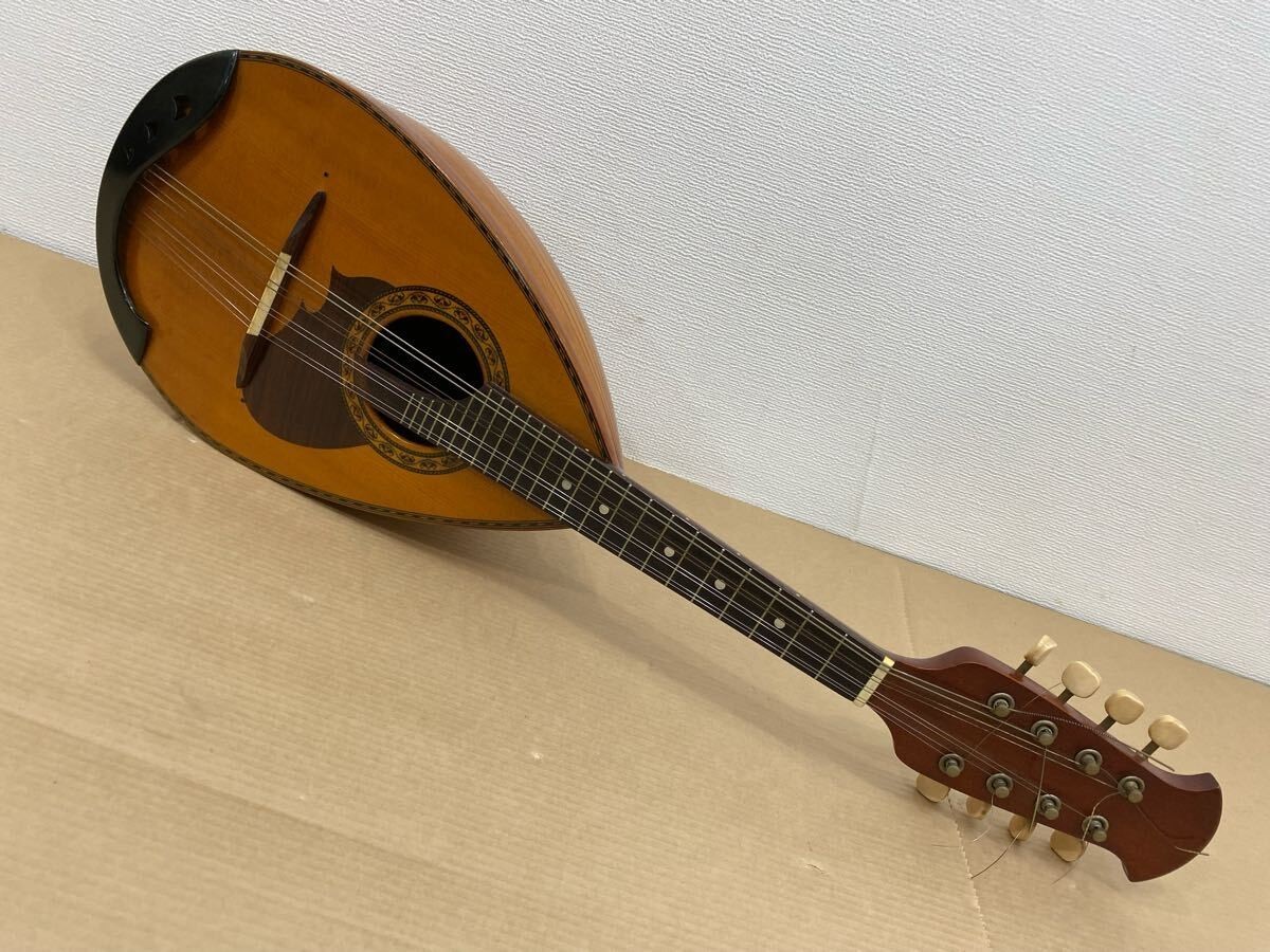 マンドリン 鈴木バイオリン SUZUKI M-210 マンドリン ハードケース