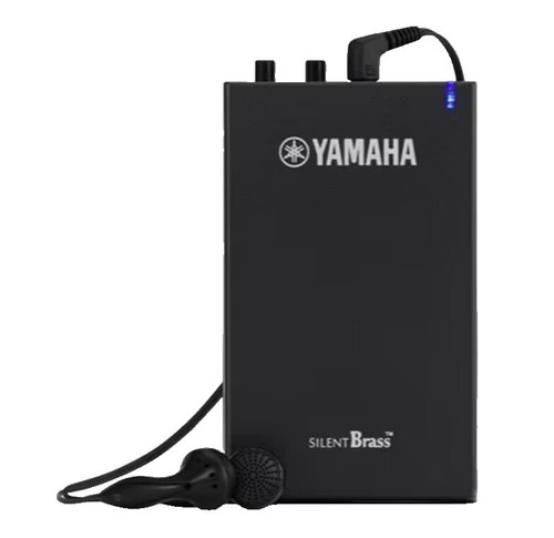 USED YAMAHA TH-10E Taishogoto Musical Instrument From Japan | eBay