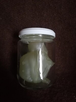 FEWTURE MODELS JAR OF PUS（蓄光） PUSHEAD JAR OF PUS Liquid Pus