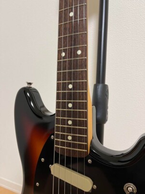 Fender Mustang Limited Run Reverse Head Musical Instruments