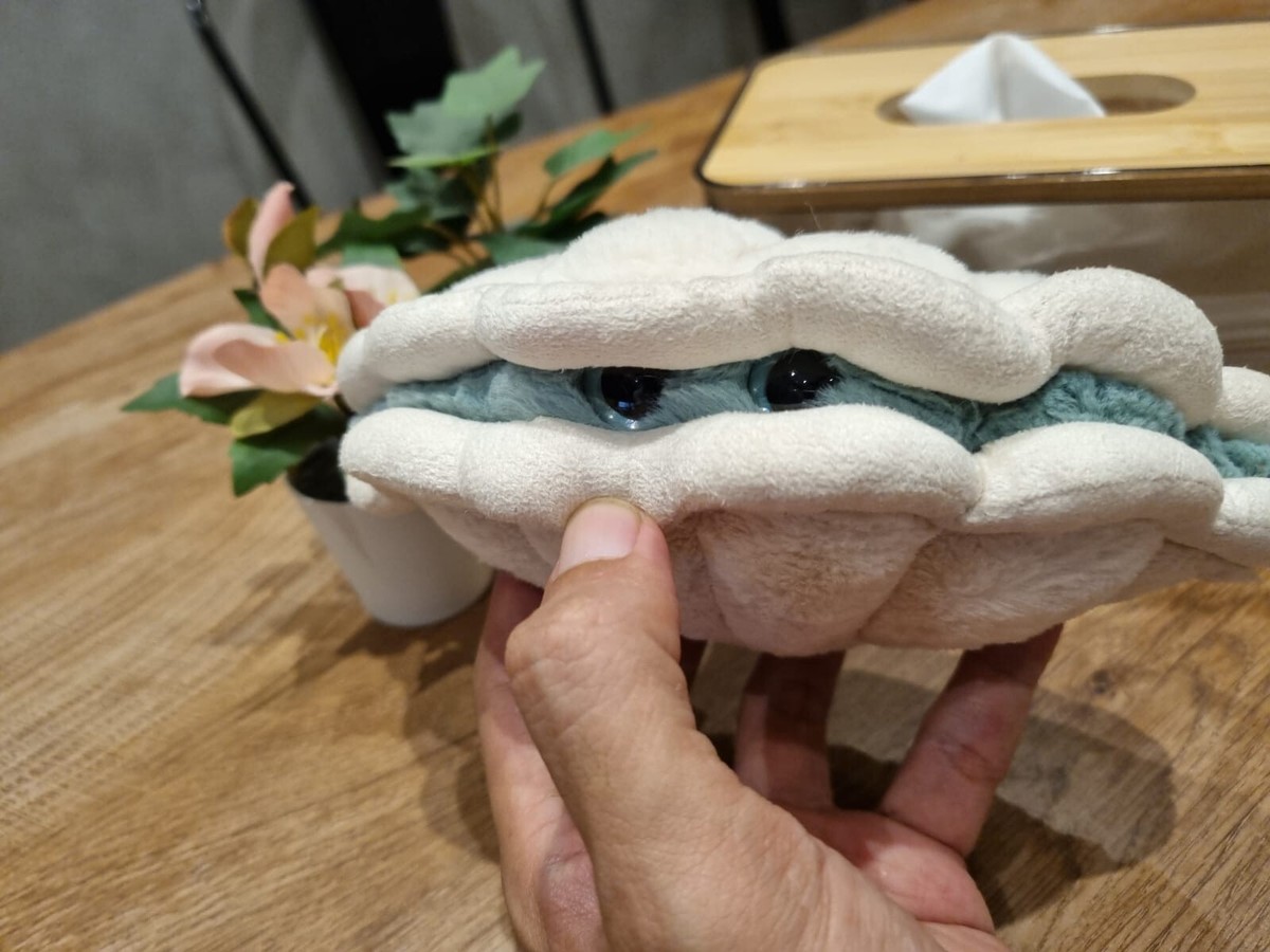 Jellycat Small Chloe Clam NWT new with tag | eBay