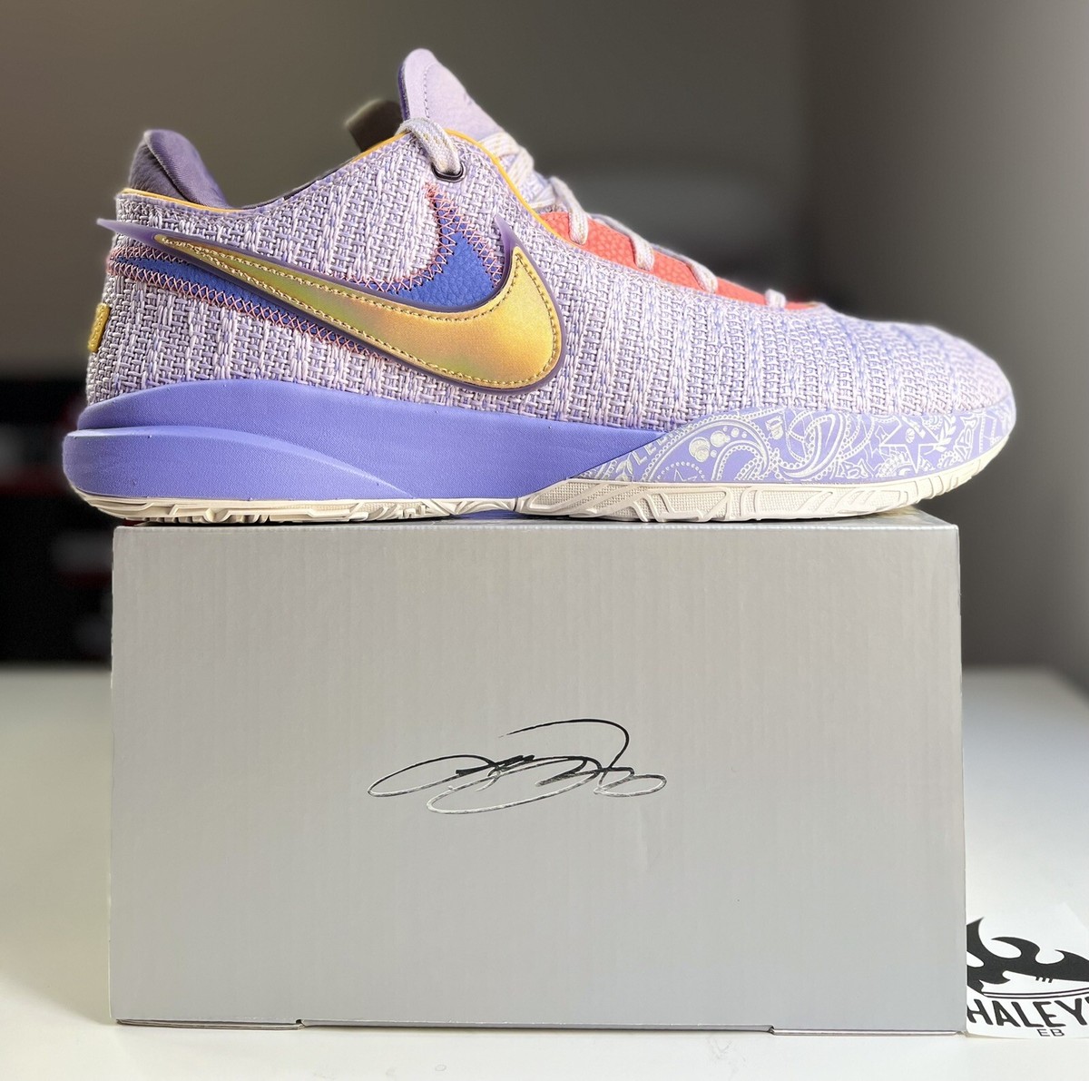 NEW Nike Lebron XX 20 Violet Frost | Men's Size 13.5 | DJ5423-500