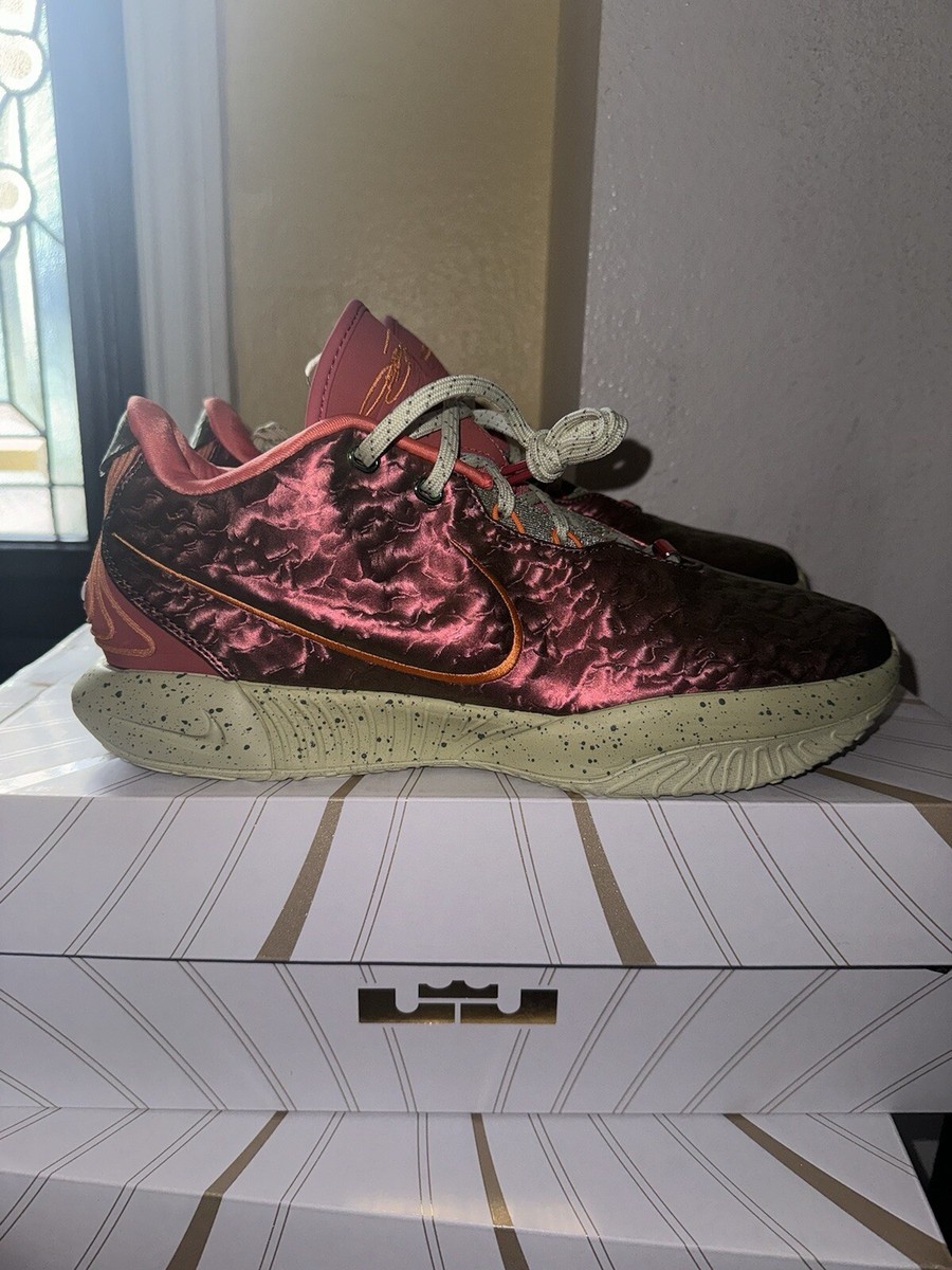 Nike Lebron XXI 21 Queen Conch Basketball Shoes FN0708-800 Men's