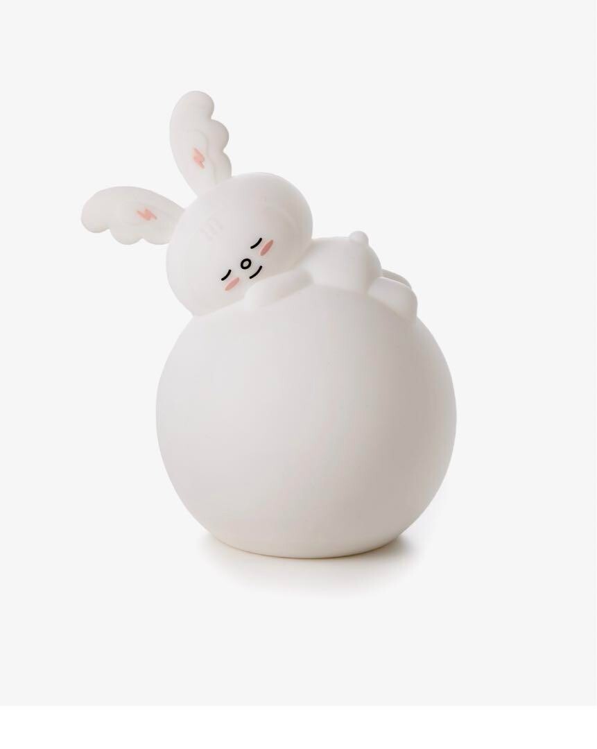 SEVENTEEN artist made collection JEONGHAN mood light TORAM with