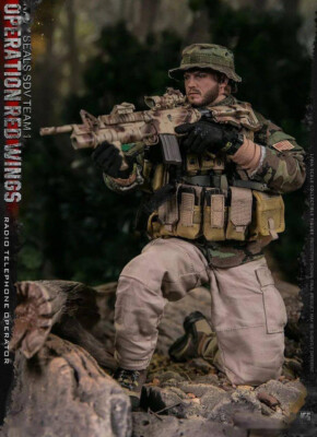 DAMTOYS Navy Seals SDV Team Operation Red Wings 1/6 Scale Solider