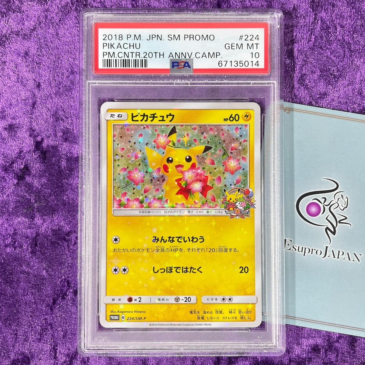 ポケモンカード ピカチュウ PROMO 038/P ポケモンカード ピカチュウ