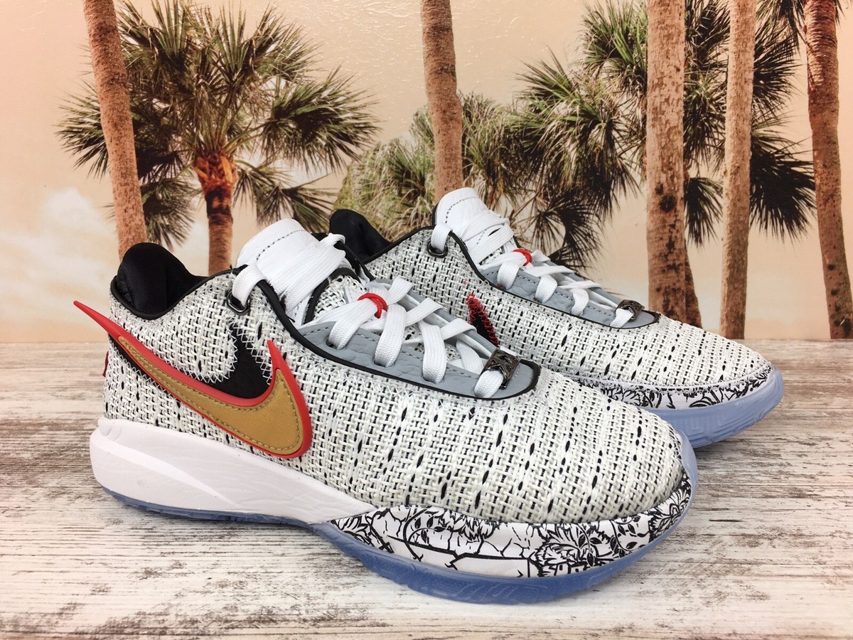 Nike LeBron James XX 20 The Debut DJ5423-100 Kids Size 3.5