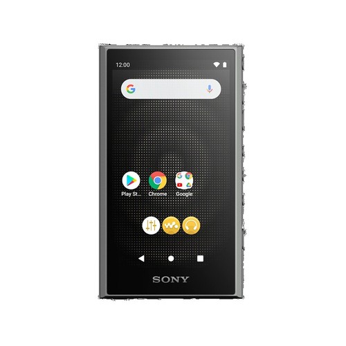 Sony MZ-N420D Psyc Net MD Walkman Digital Music Player | eBay