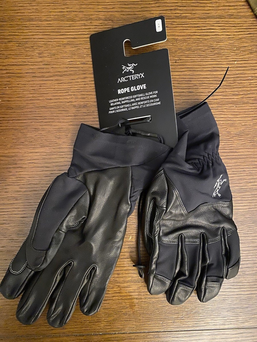 POST JUNK / '19 ARC'TERYX Alpha SL Glove [S] Arc'teryx アルファSL