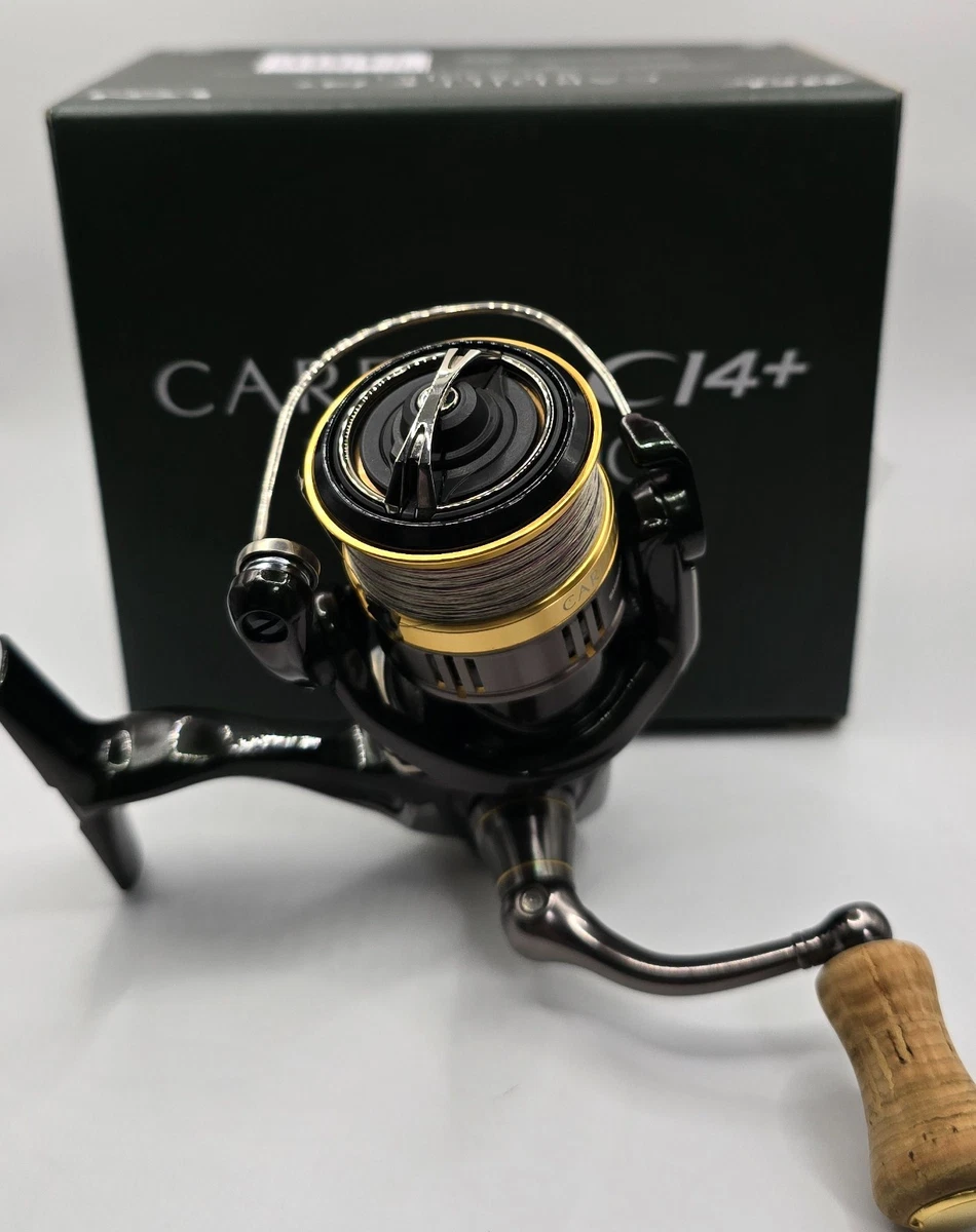 CARDIFF（カーディフ）301 CARDIFF（カーディフ）301 CARDIFF